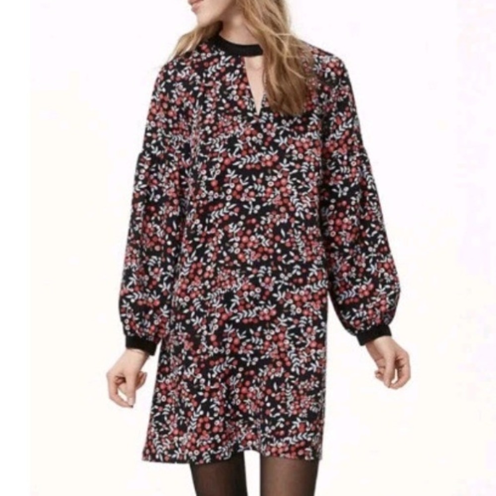 LOFT Shift Dress Womens S Black Red Floral Berry Balloon Sleeve Dark Romance
